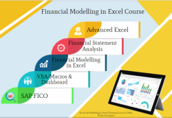 Financial Modeling Certification Course in Delhi, 110007. Best Online Live Financial Analyst Course in Pune by IIT Faculty ,