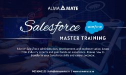 AlmaMate Info Tech | Salesforce Training