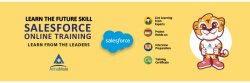 AlmaMate Info Tech | Salesforce Training