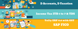 Is an Accounting Course Worth It in 2025? Job Market Insights, Accounting Course in Delhi, 110045 New Income Tax Course DTC 2025 Classes - by SLA 