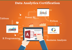 Remote Work & Global Opportunities: Why Data Analyst is a Smart Choice in 2025, 100% Placement in MNC, Data Analyst Training Course in Delhi,